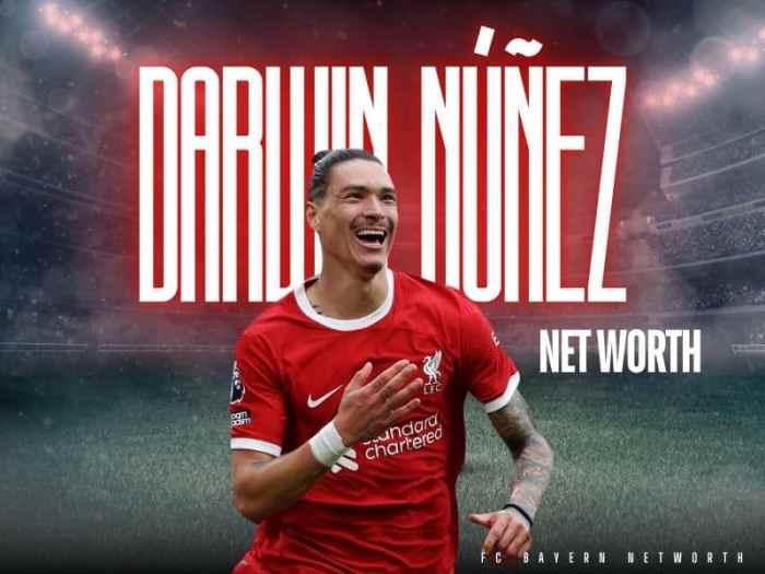 Darwin nunez net worth 2024